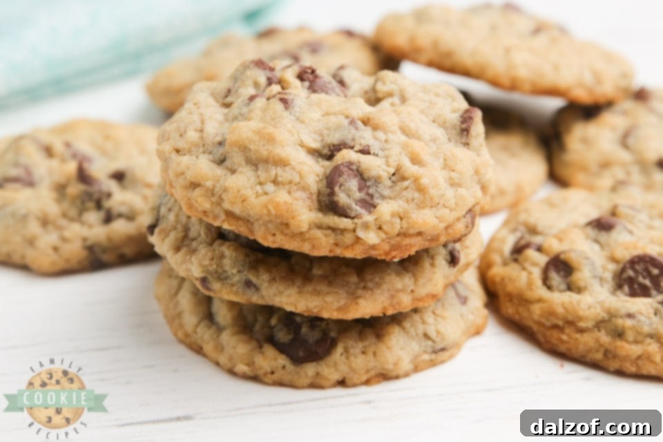 Oatmeal chocolate chip cookies without eggs