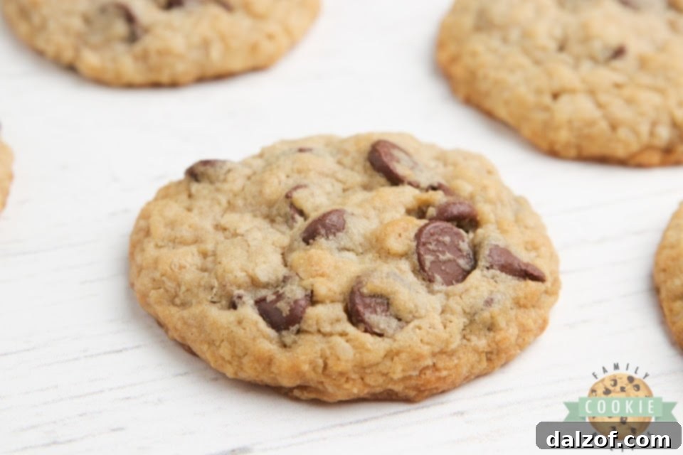 Chocolate chip cookie without eggs