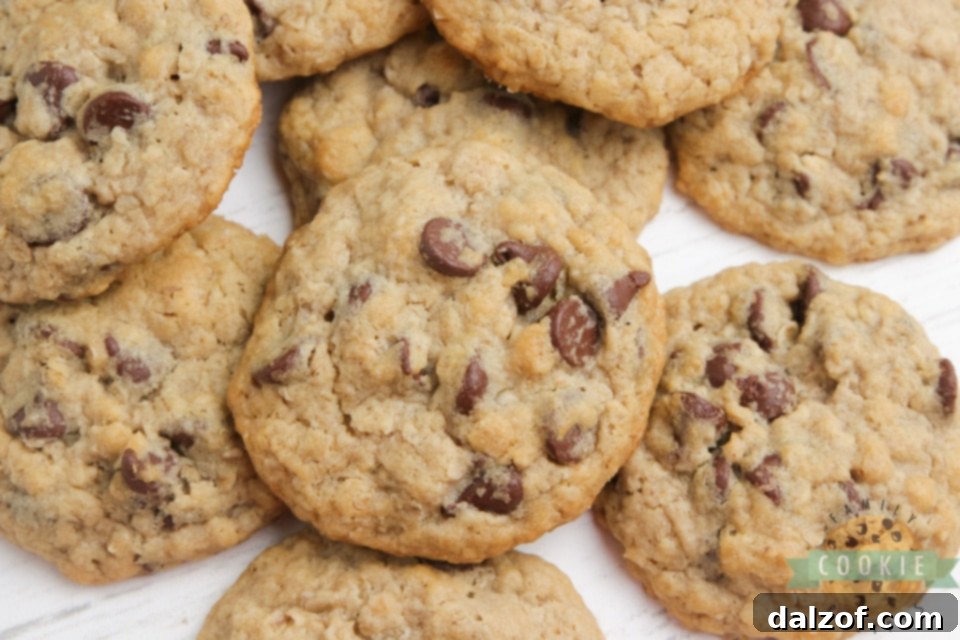 Eggless Oatmeal Chocolate Chip Cookies are soft, chewy and have the perfect consistency - you can't even tell there aren't any eggs in the recipe! Best eggless cookie recipe ever!