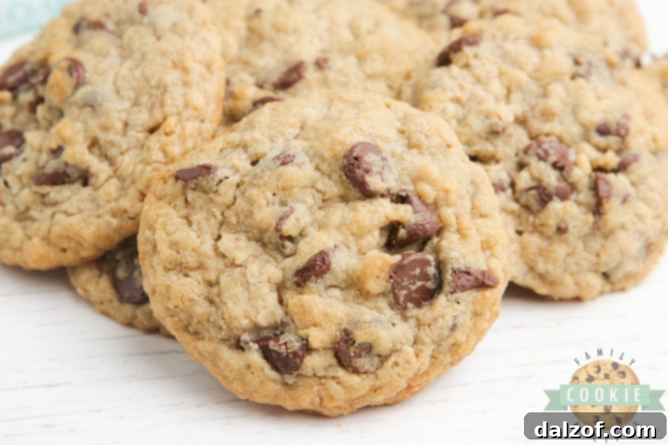 Oatmeal chocolate chip cookies without eggs