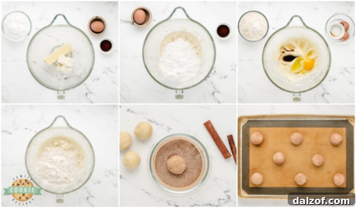 Velvety Cream Cheese Snickerdoodle Delights 6 Step by step instructions on how to make Cream Cheese Snickerdoodle Cookies.