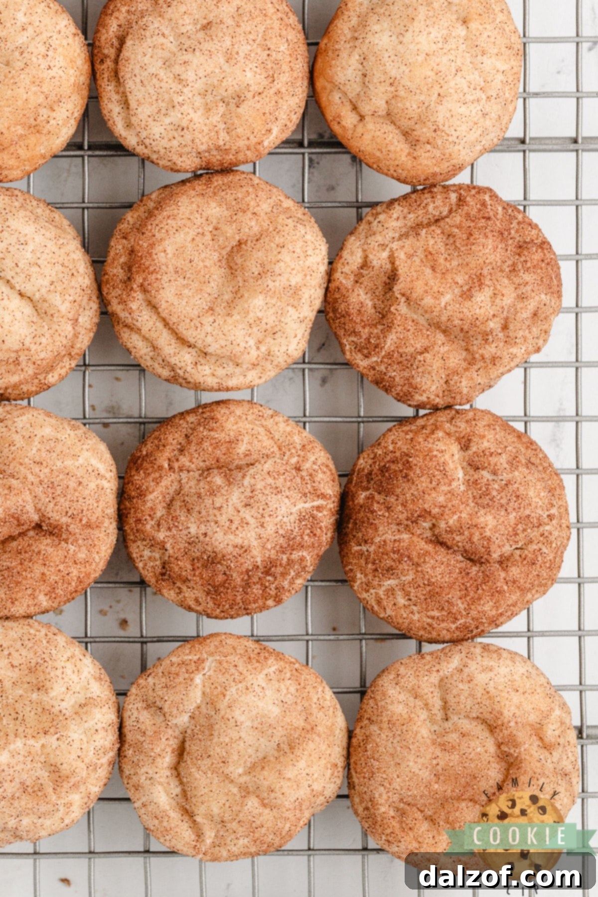 Velvety Cream Cheese Snickerdoodle Delights 7 Cream Cheese Snickerdoodle Cookies are delightfully soft, thick, and chewy, thanks to the addition of powdered sugar and cream cheese. These unique ingredients enhance these snickerdoodles, making them stand out from any other recipe you’ve tried!