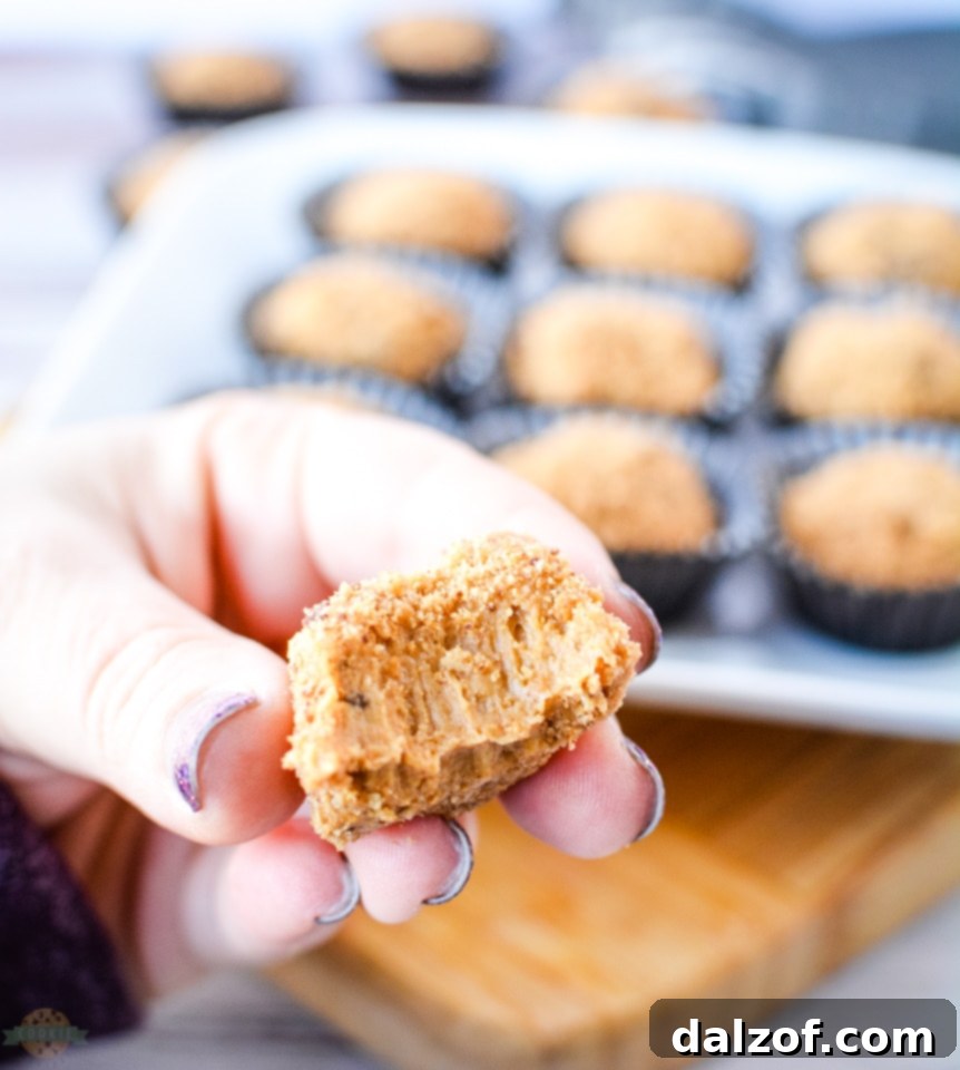 No Bake Peanut Butter Cookie Bites