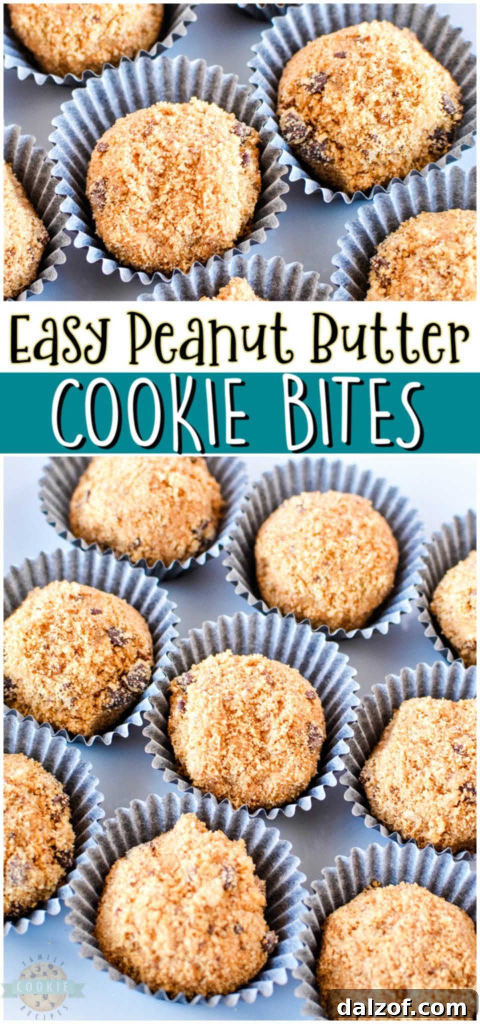 Peanut butter cookie bites made with just 3 ingredients including store-bought chocolate chip cookies, peanut butter & powdered sugar. Simple, tasty no-bake cookie recipe that is fun to make & eat! 