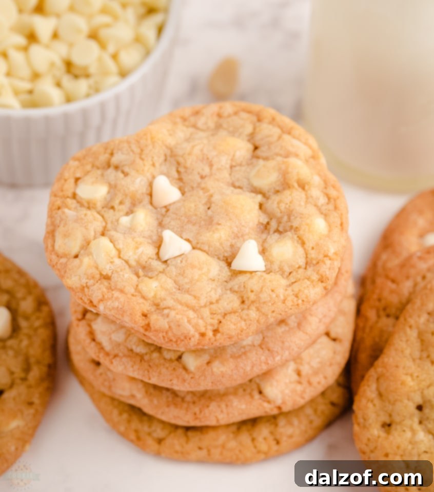 Irresistible White Chocolate Macadamia Nut Delights 2 White Chocolate Macadamia Nut Cookies