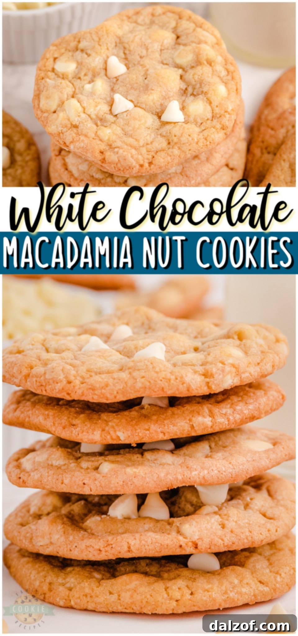 Irresistible White Chocolate Macadamia Nut Delights 9 White chocolate chip cookies with macadamia nuts are a tasty treat that everyone can enjoy. With the soft and chewy cookies, buttery nuts and melt in your mouth chocolate chips, each bite is amazing!