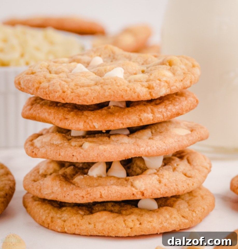 Irresistible White Chocolate Macadamia Nut Delights 3 White Chocolate Macadamia Nut Cookies
