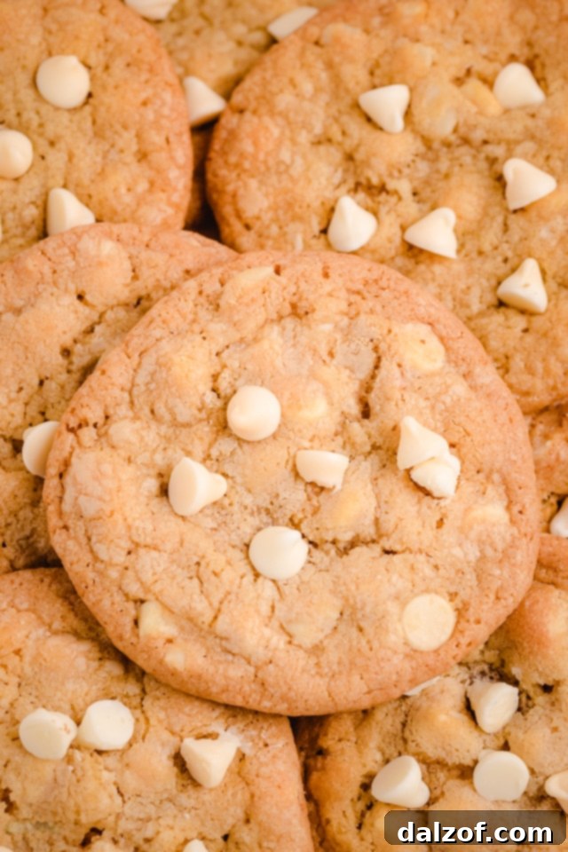 Irresistible White Chocolate Macadamia Nut Delights 11 White Chocolate Macadamia Nut Cookies