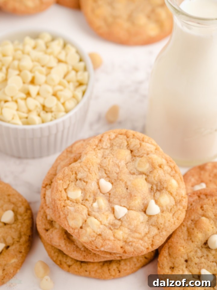 Irresistible White Chocolate Macadamia Nut Delights 6 White Chocolate Macadamia Nut Cookies