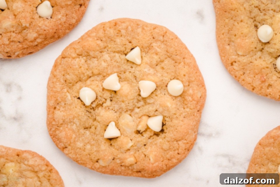 Irresistible White Chocolate Macadamia Nut Delights 7 White Chocolate Macadamia Nut Cookies