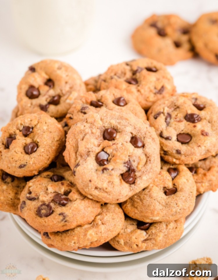 How to Make Wholesome Breakfast Cookies