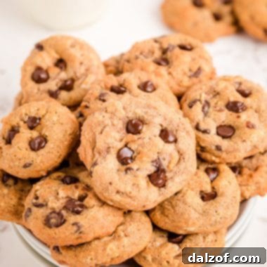 Delicious Breakfast Chocolate Chip Cookies