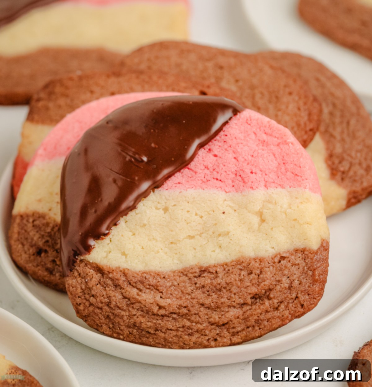 Chocolate Dipped Neapolitan Cookies showcasing the distinct layers of strawberry, coconut, and chocolate