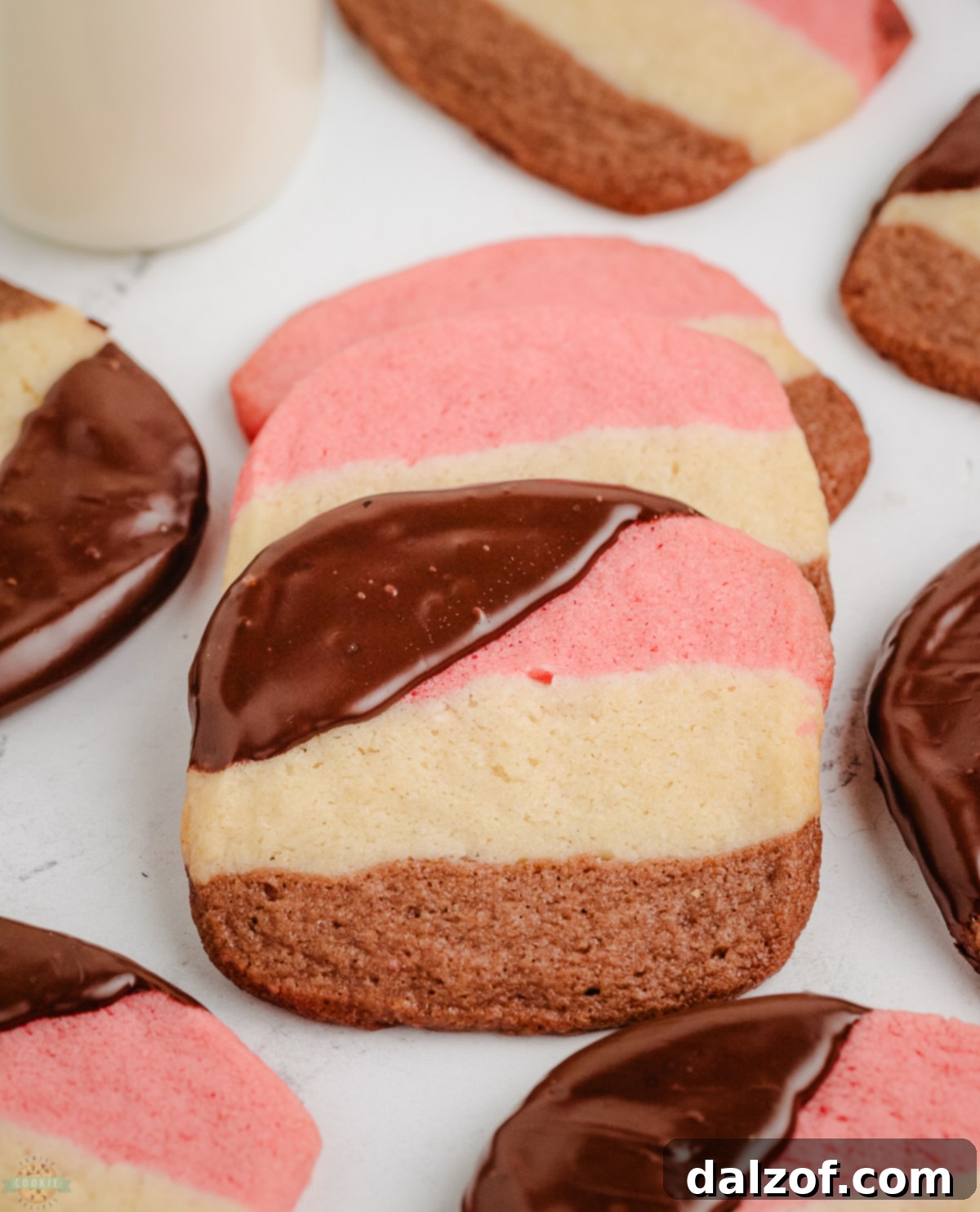 Neapolitan cookies with three distinct layers and a diagonal chocolate dip