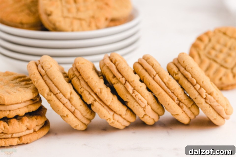 How to make the best Peanut Butter Sandwich cookies