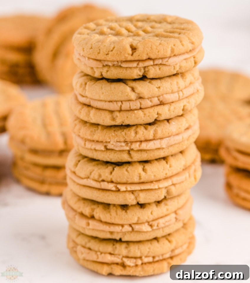 How to make the best Peanut Butter Sandwich cookies