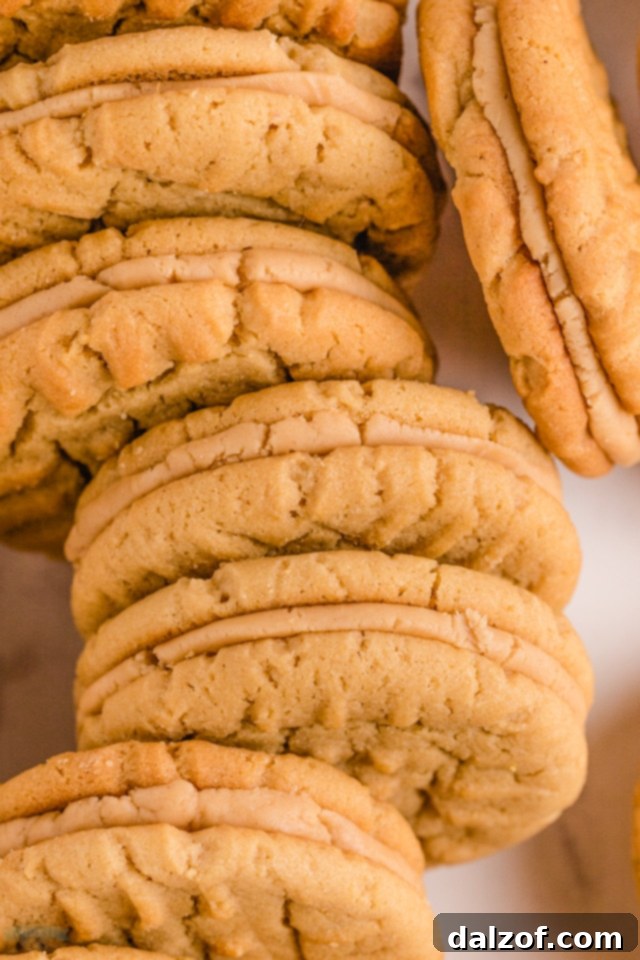 How to make the best Peanut Butter Sandwich cookies
