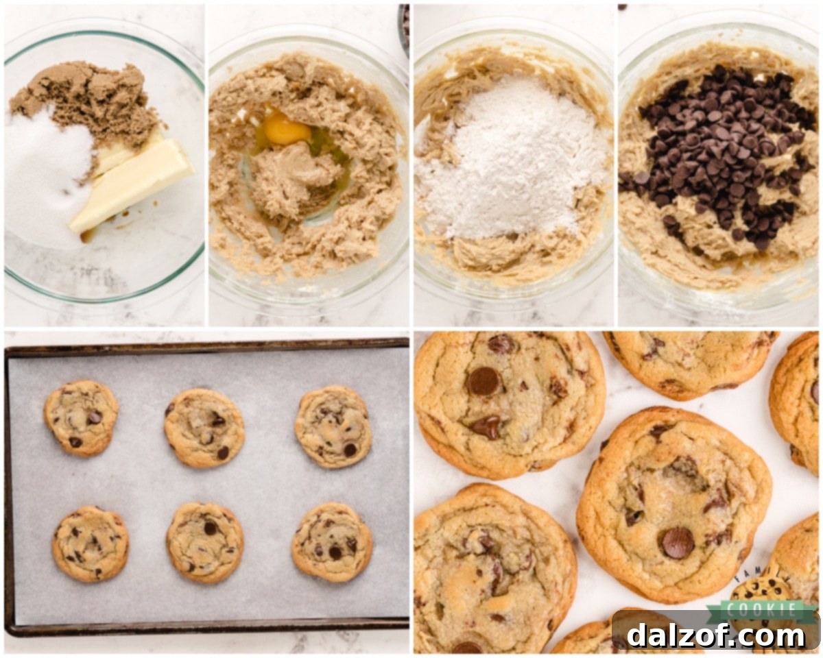 Bowl of chocolate chip cookie dough ready for baking
