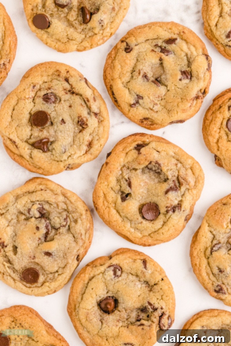 pan of nestle toll house cookies fresh from the oven