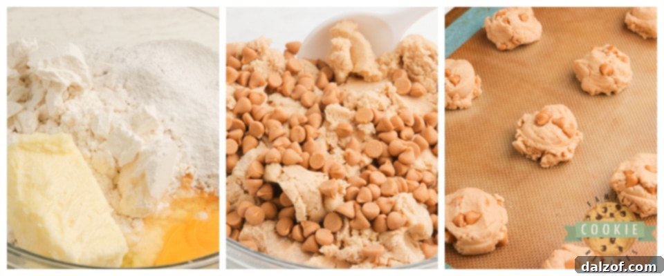How to make Easy Butterscotch Cookies