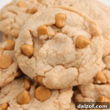Easy Butterscotch Cookies