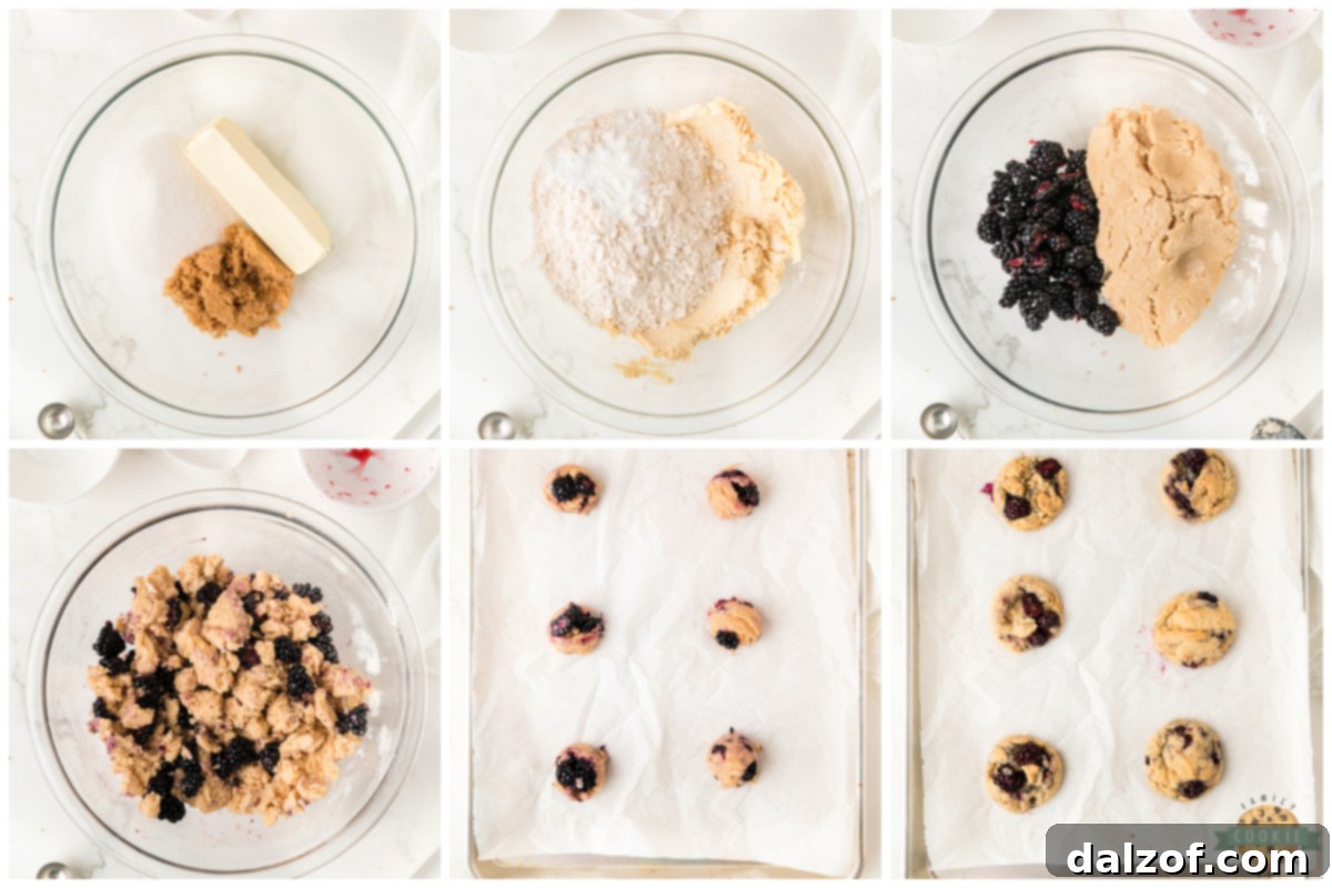 Step-by-step imagery showing the process of making Blackberry Cookies, from mixing the dough to gently folding in the halved blackberries.