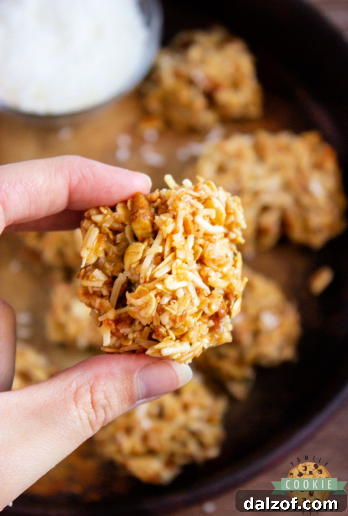 A beautifully arranged plate of Caramel Coconut No-Bake Cookies, highlighting their rich color and texture.