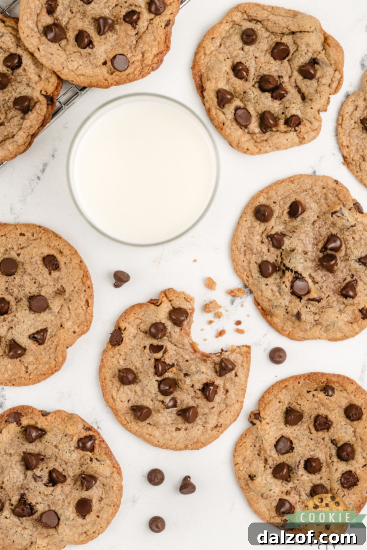 Close-up of Flourless Peanut Butter Chocolate Chip Cookies, highlighting their soft, chewy texture and the abundant melted chocolate.
