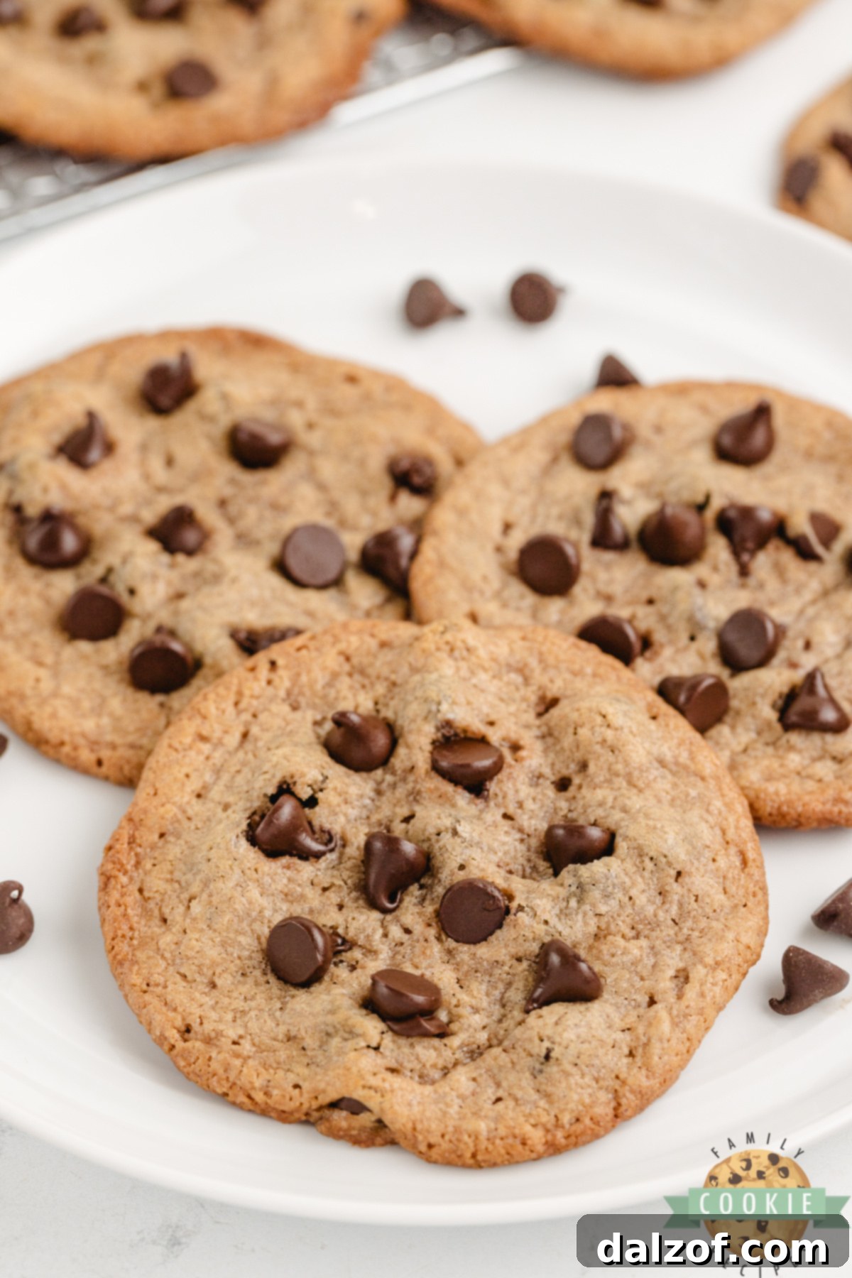 A plate of Flourless Peanut Butter Chocolate Chip Cookies ready to be served, showcasing their inviting appearance.