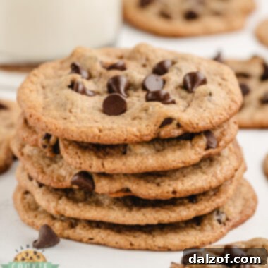 Flourless Peanut Butter Chocolate Chip Cookies