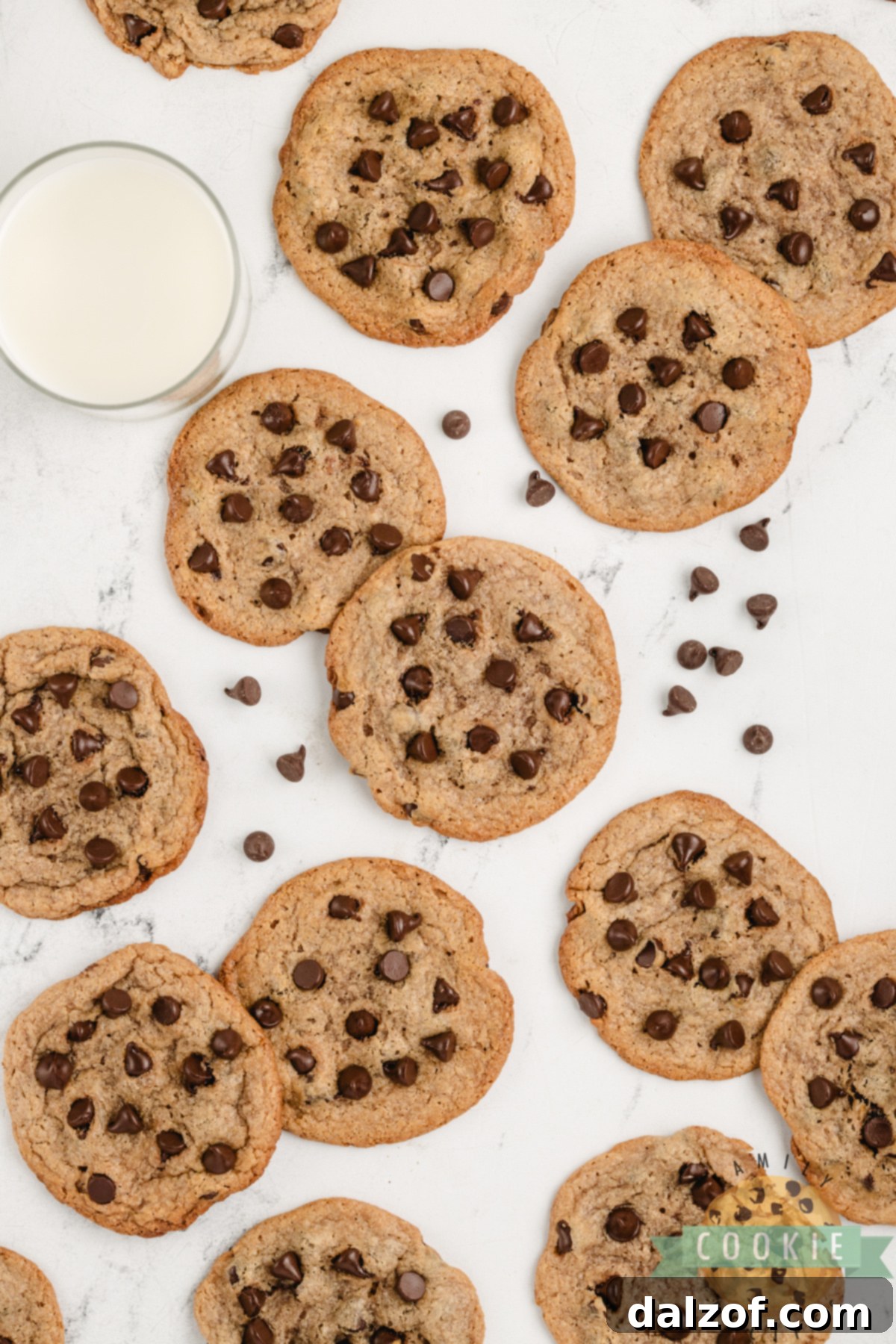 Another view of Flourless Peanut Butter Chocolate Chip Cookies arranged on a plate, emphasizing their appeal.