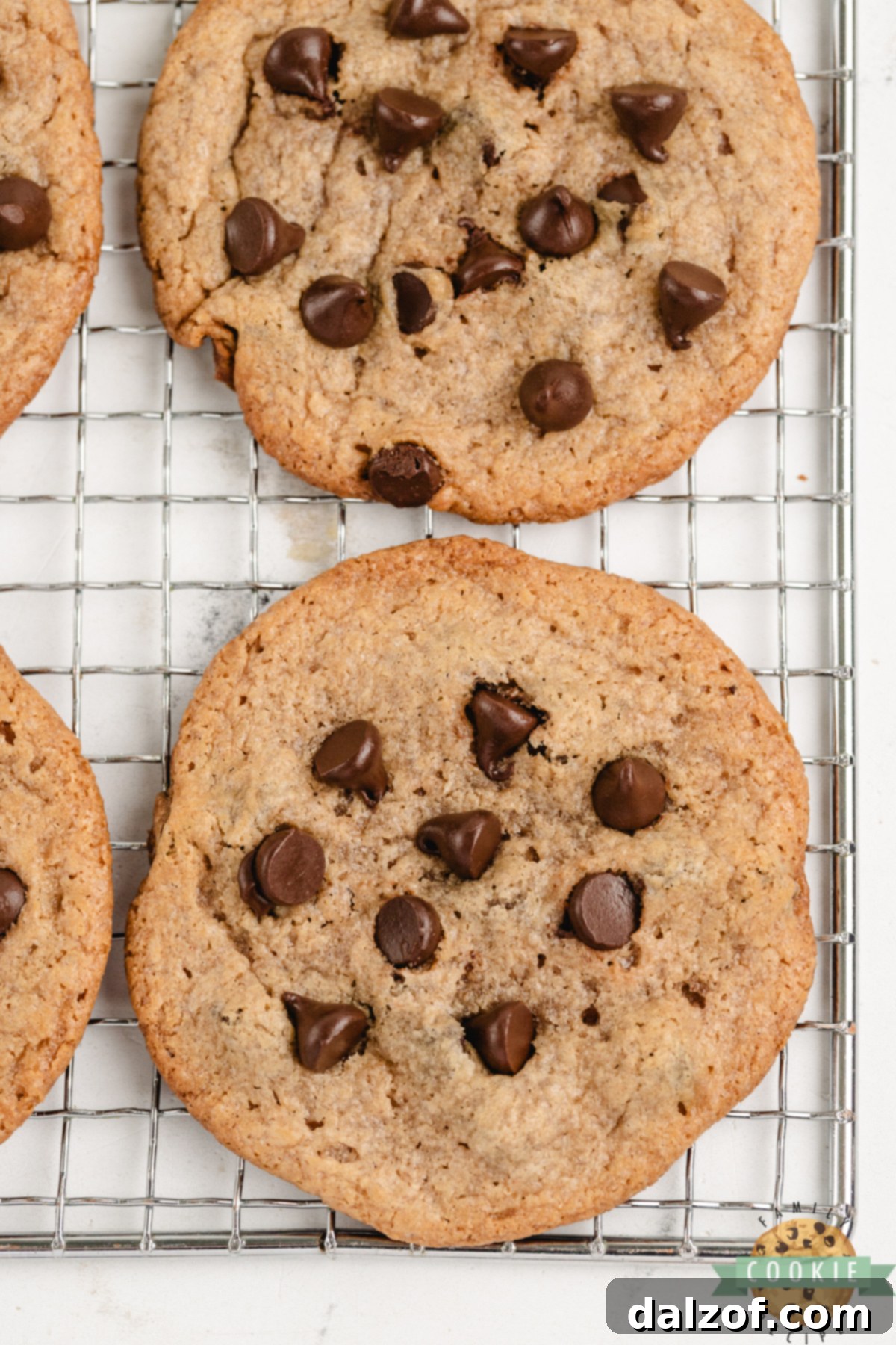 Flourless Peanut Butter Chocolate Chip Cookies cooling on a wire rack.