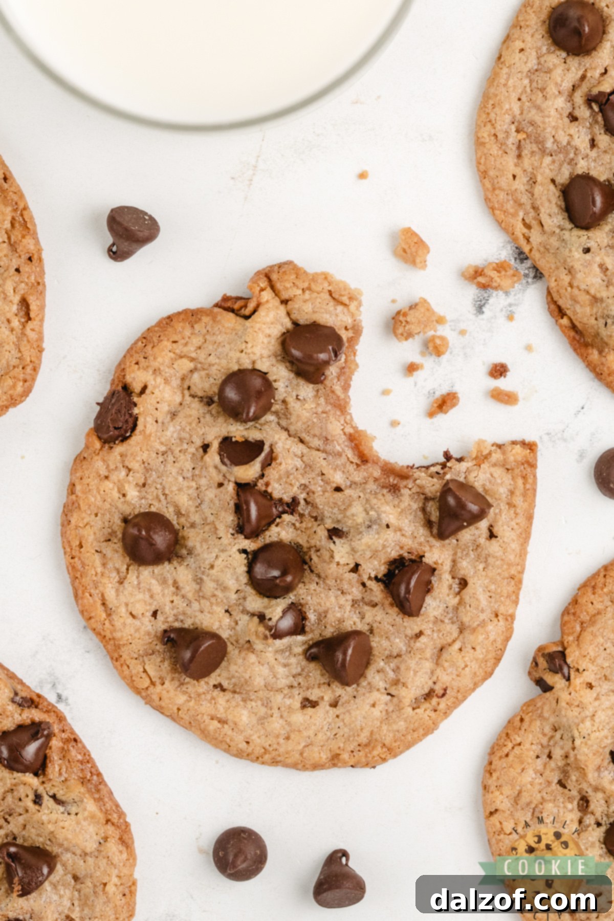 Close-up of a Flourless Peanut Butter Chocolate Chip Cookie with a bite removed, revealing the soft interior and melted chocolate.