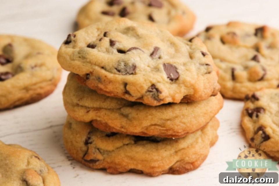 Bakery Style Chocolate Chip Cookies are large, crisp on the very outside and soft in the middle. The perfect chocolate chip chip cookie recipe that you've been looking for all your life!