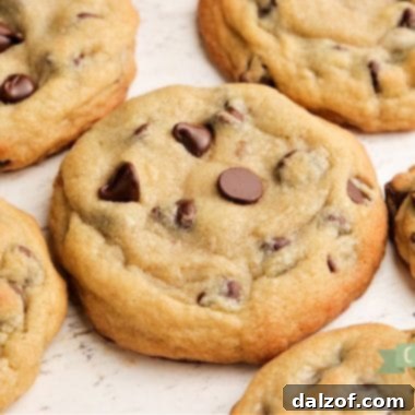 Bakery Style Chocolate Chip Cookies