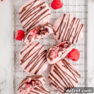 raspberry meringues drizzled with chocolate