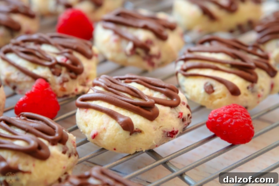 Ingredients for Chocolate Raspberry Cheesecake Cookies laid out on a kitchen counter.