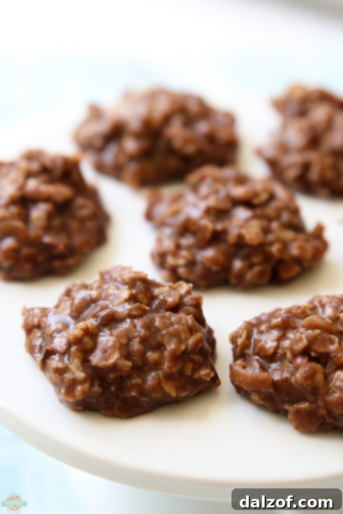 A plate of Best No Bake Cookies (without peanut butter!), featuring oats, coconut, and chocolate.
