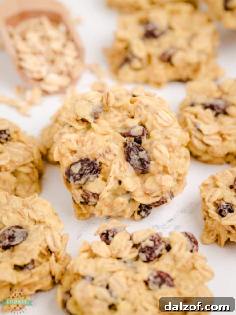 A plate of inviting No-Bake Oatmeal Raisin Cookies, showcasing their warm spice and chewy texture.