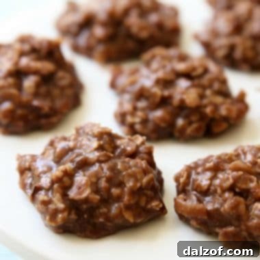 Delicious Best No Bake Cookies - Easy oatmeal chocolate cookies