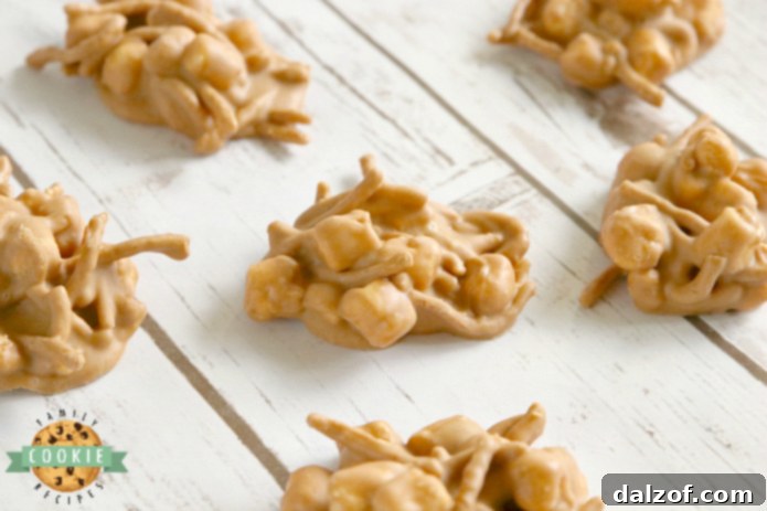 Crunchy Marshmallow Peanut Butter No-Bake Cookies with chow mein noodles.