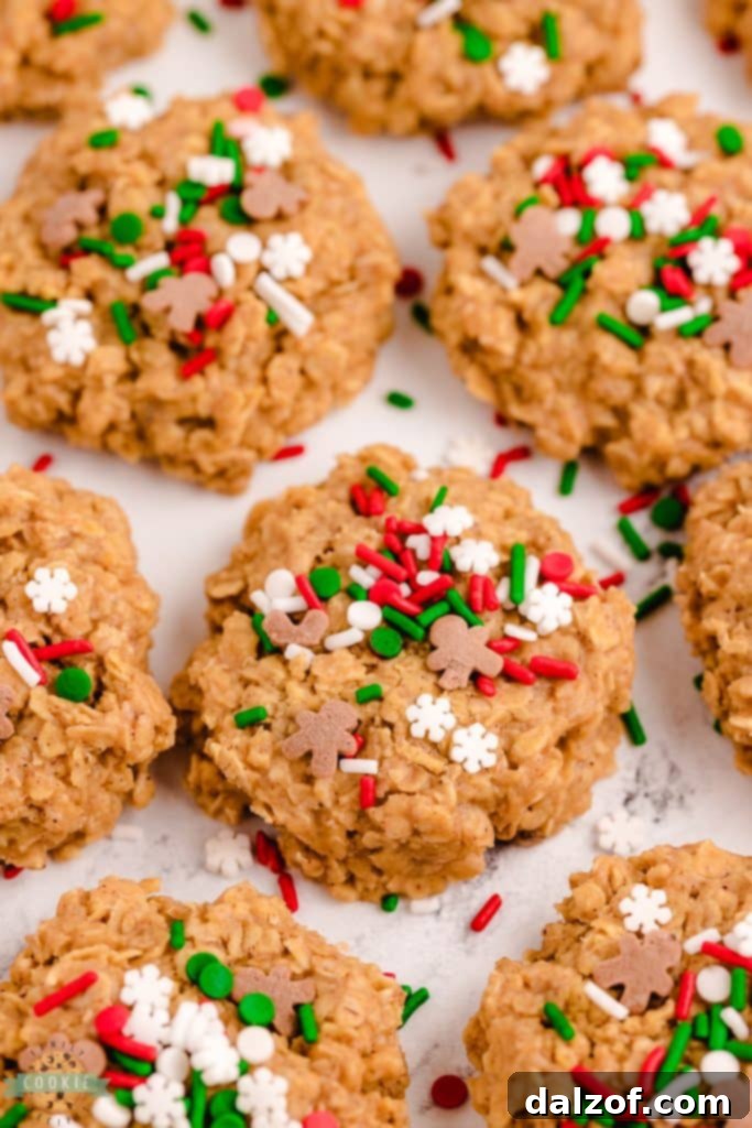 Easy No-Bake Gingerbread Cookies, garnished with powdered sugar.