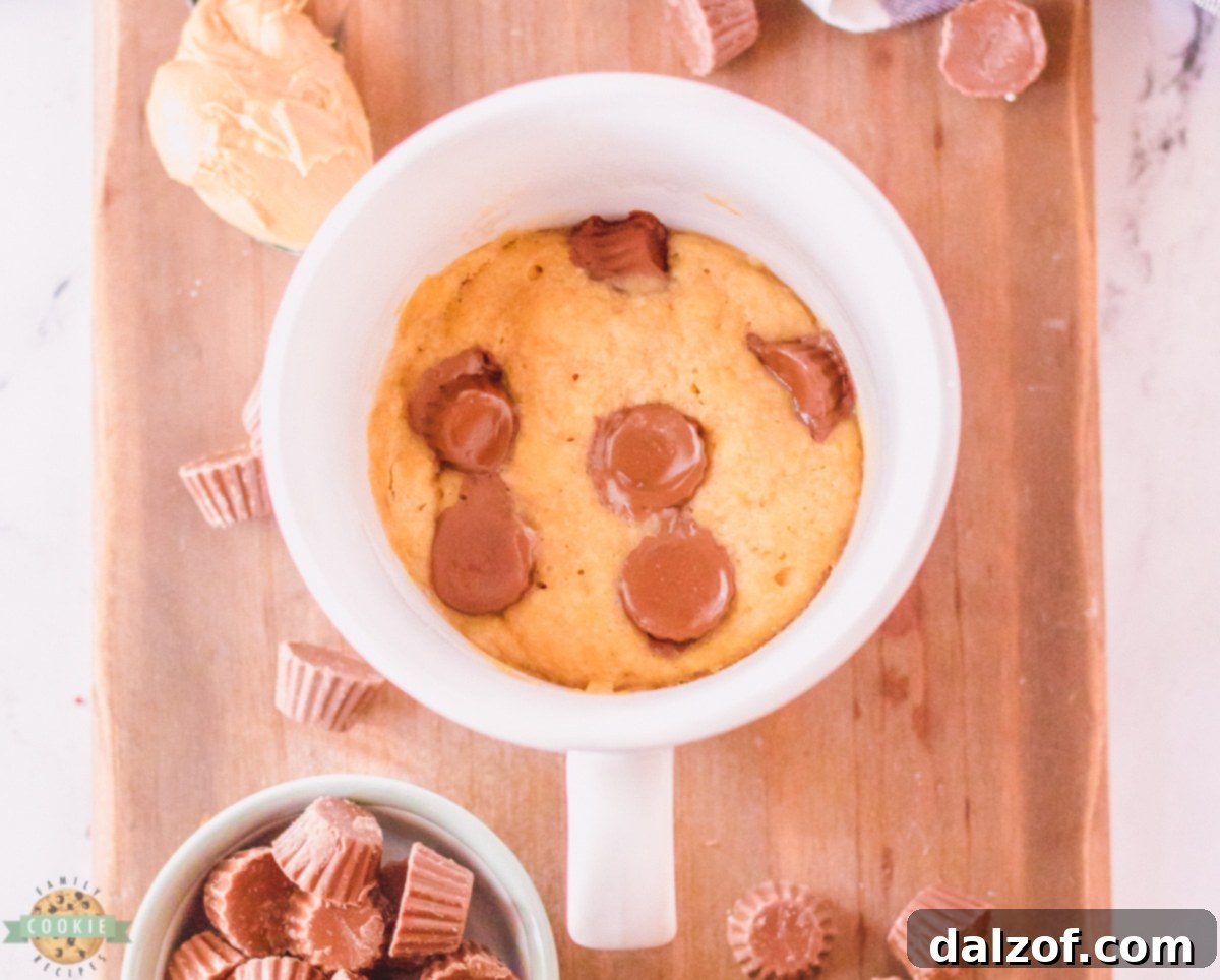 A single serving Peanut Butter Cookie in a Mug, warm and ready to eat.