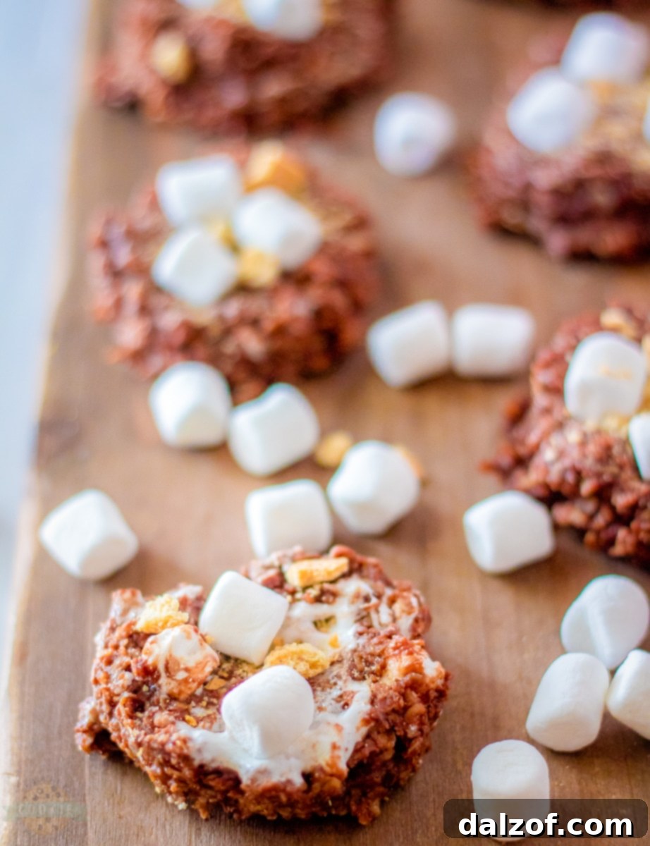 Delicious no-bake S'mores cookies with visible marshmallows and graham cracker pieces.