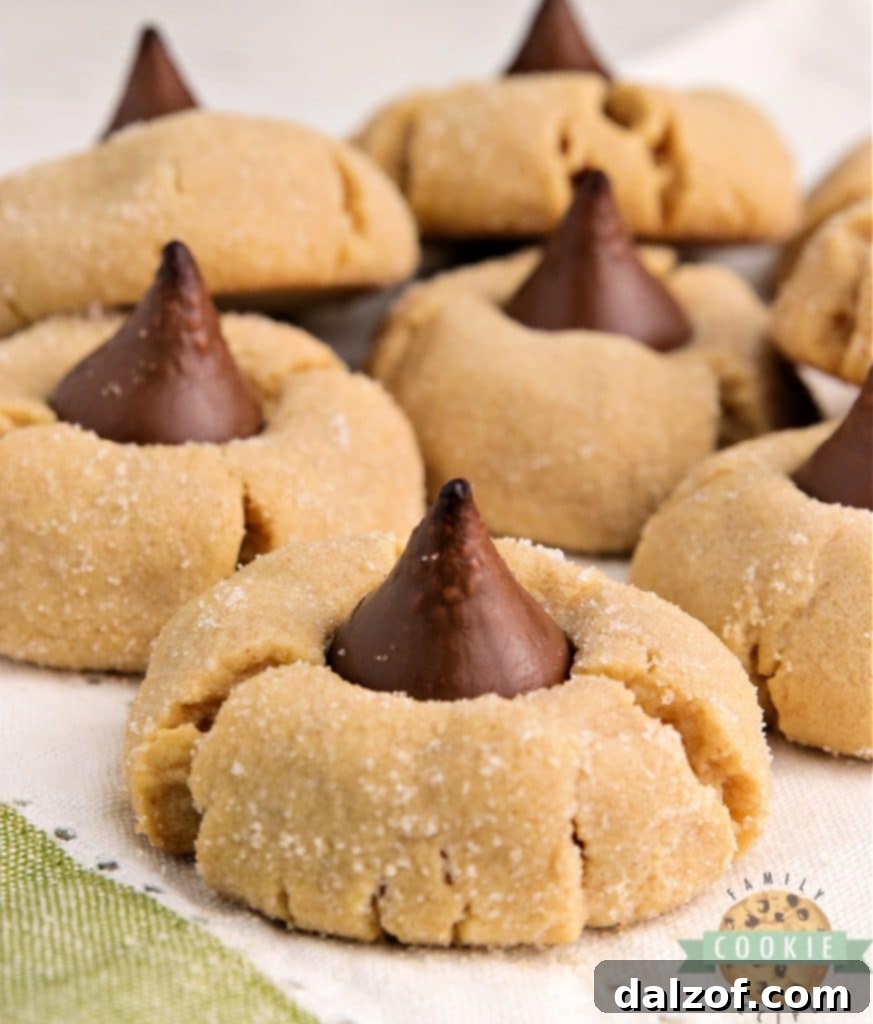 Classic No-Bake Peanut Butter Blossoms, topped with chocolate kisses, arranged on a serving plate.