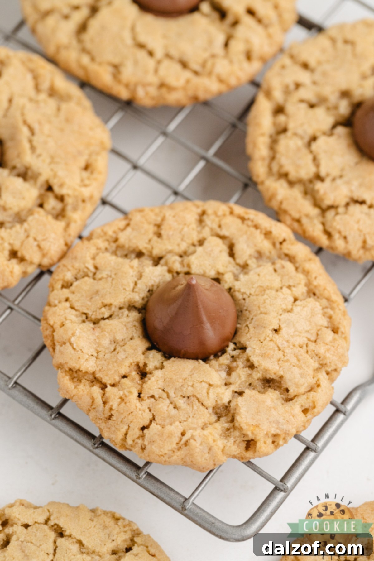 A top-down view of several freshly baked Oatmeal Kiss Cookies on a cooling rack, each with a perfectly placed Hershey's Kiss in the center. Highlighted for easy, delicious baking.