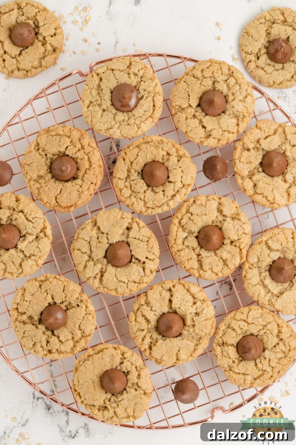 A beautifully arranged plate of Oatmeal Kiss Cookies, emphasizing their homemade goodness and versatility for various occasions.