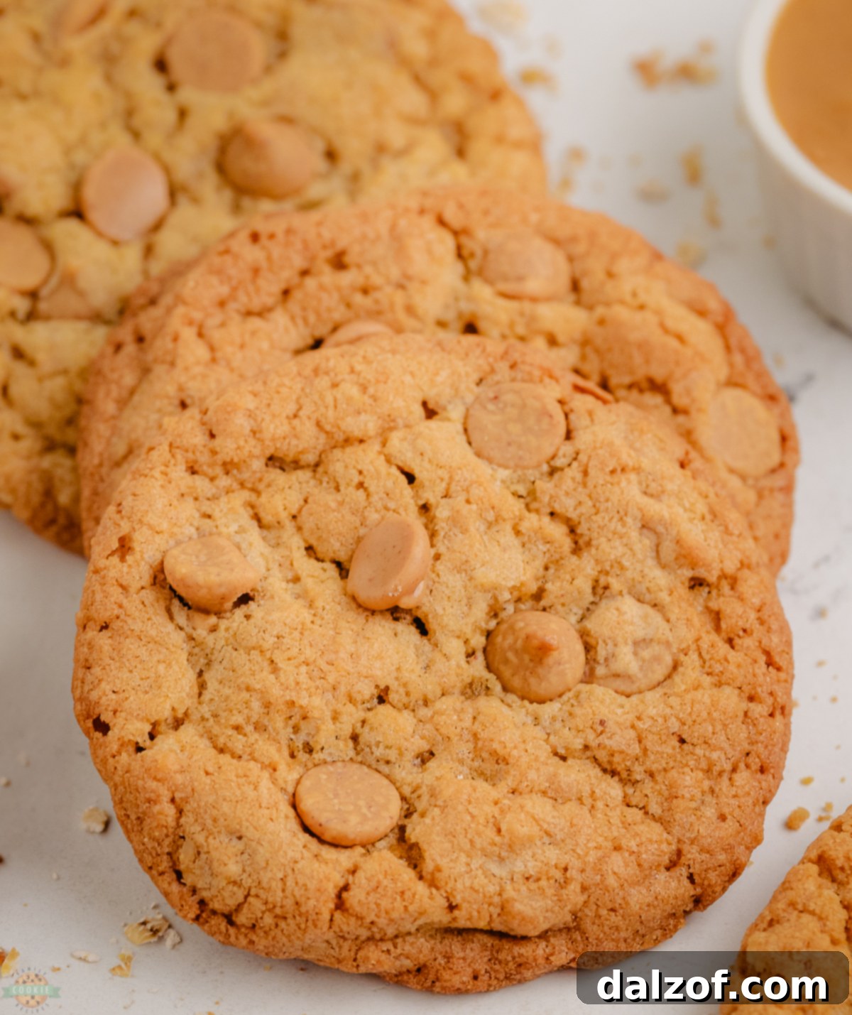 Irresistible maple peanut butter cookies, fresh from the oven, showcasing their golden-brown edges and soft centers.