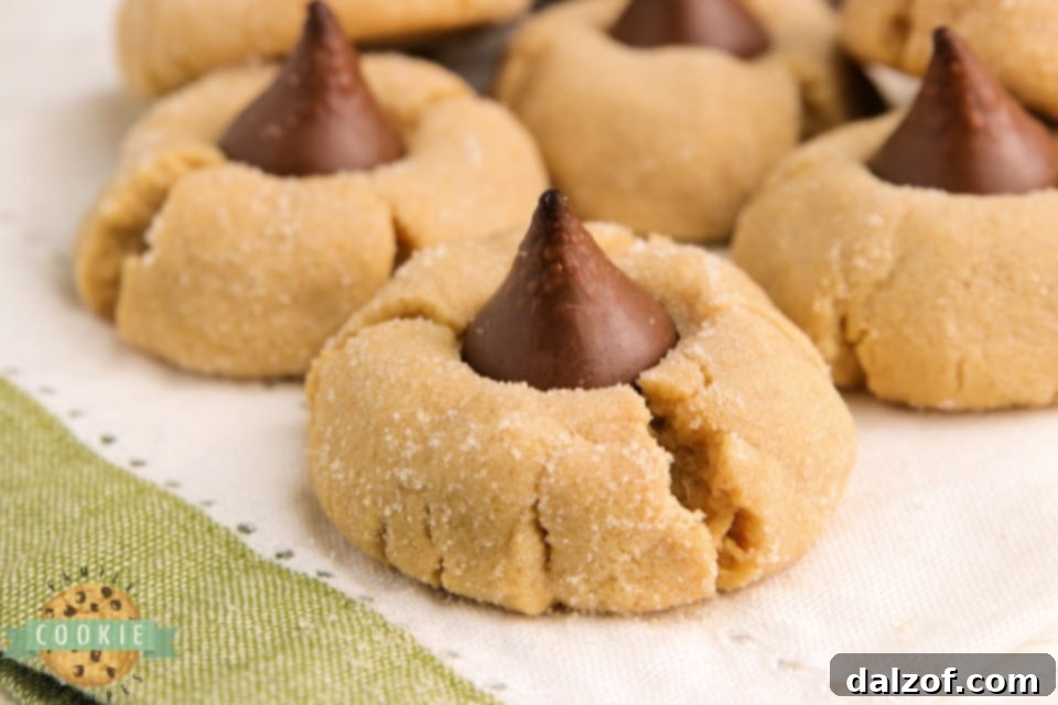 A single Peanut Butter Blossom cookie with a melted Hershey's Kiss center, showcasing its delicious texture
