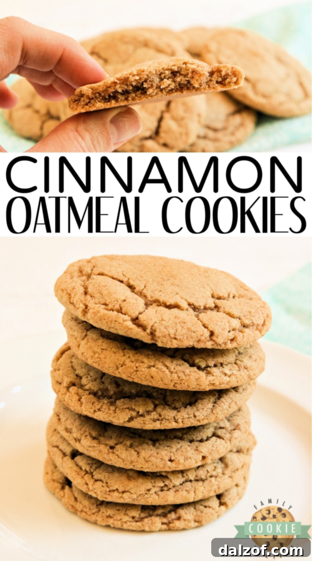 Platter of warm, spiced Cinnamon Oatmeal Cookies ready to be enjoyed